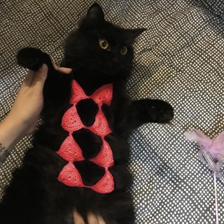 Handmade Dệt Kim Mèo Con Bikini Thú Cưng Đồ Lót Ngộ nghĩnh Chó Áo Ngực Thú Cưng Đạo Cụ Chụp Ảnh