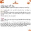 Hỗ Trợ Tiêu Hóa Five-Prozyme 5way for pet Dành Cho Thú Cưng