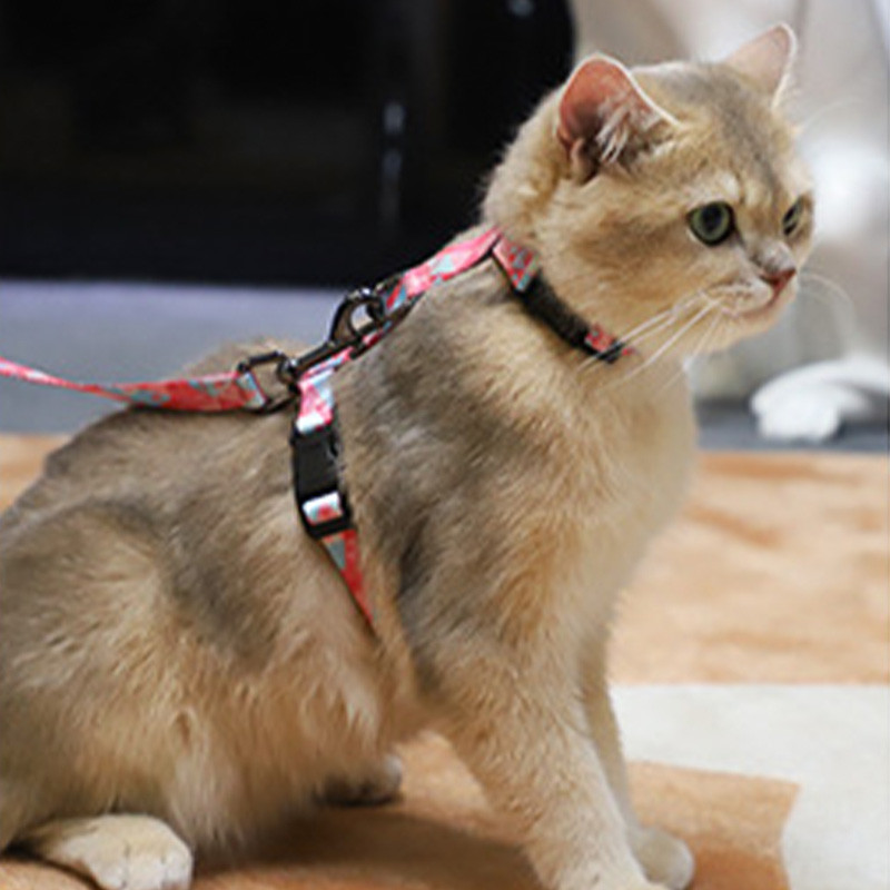 HamshMoc Nhẹ Mèo Dây Xích Bộ Mềm Có Thể Điều Chỉnh Mèo Con Chó Con Vest Có Dây Khóa Bền Cho Mèo Thú Cưng Đi Bộ Phụ Kiện