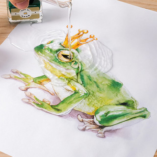 Bút Đèn Đài Phun Nước Banmi Màu Móc Dòng Chống Thấm Nước Nhanh Khô Sắc Tố Mực Sinh Viên Tranh Phác Thảo pxb3