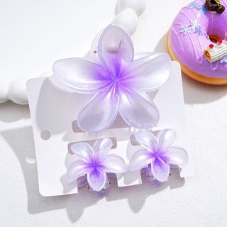 SMILE 3 Cái / bộ Kẹp Móng Vuốt Tóc Hoa, Kẹp Đuôi Ngựa Acrylic Gradient, Phụ Kiện Tóc Plumeria Kẹp Tóc Đi Biển