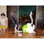 Xe đạp tập phục hồi chức năng R23900-C- nơi bán xe đạp tập phục hồi chức năng uy tín tại Hà Nội