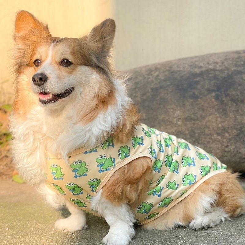 Quần Áo Bichon Teddy Mỏng Phong Cách Khủng Long Thoáng Khí Mùa Hè Phong Cách Mới Chó Corgi Pháp Chiến Đấu Shiba Inu Vest TWFD * - & -