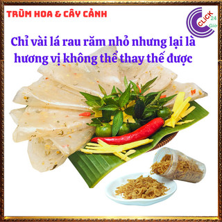 Chậu rau răm ta lá nhỏ rất thơm đem đến hương vị đặc biệt cho món ăn ⌛Siêu Thị Hoa Và Cây Giống