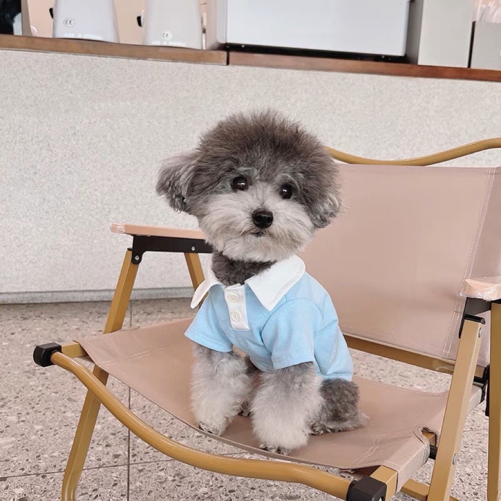 Quần Áo Thoáng Khí Chó Nhỏ Schnauzer Áo polo Dễ Thương Mỏng Phong Cách Teddy Mùa Xuân Mùa Hè Pomeranian Quần Áo Mèo Bichon WPC7 & & & -