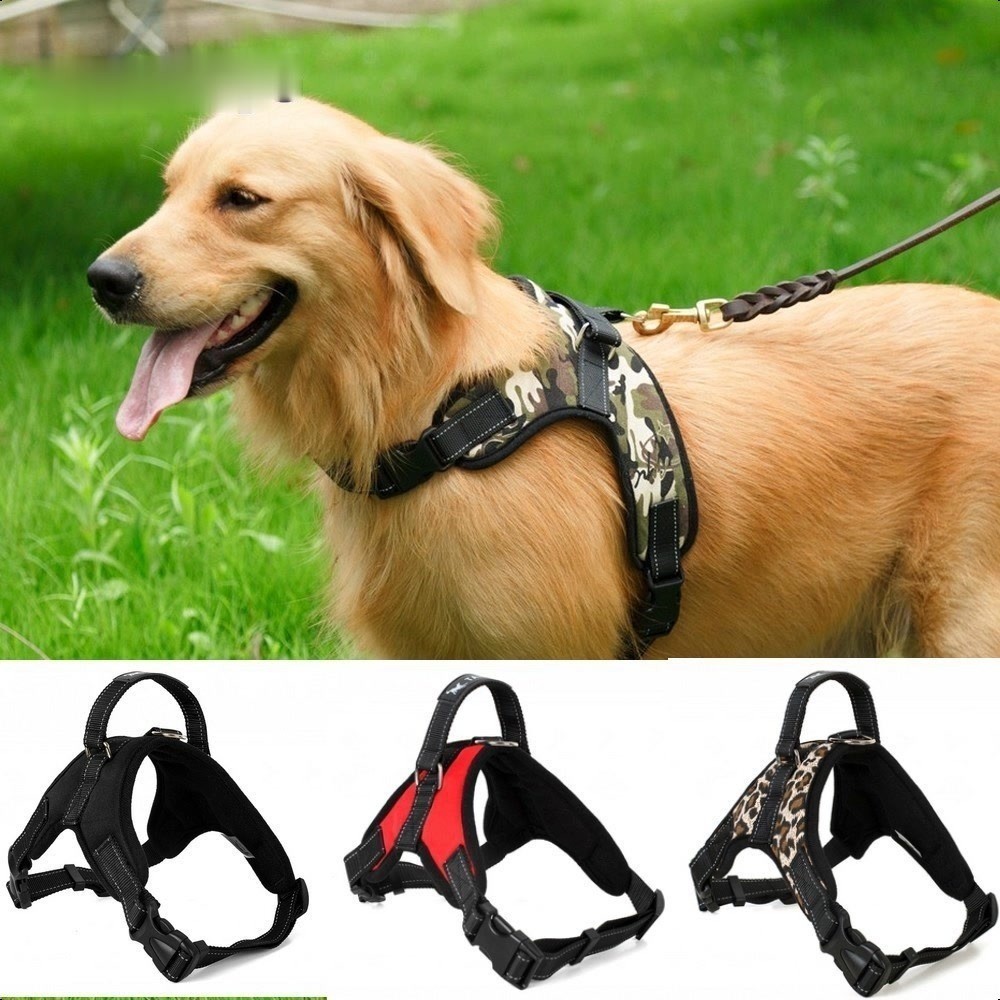 D&acirc;y Dắt Th&uacute; Cưng Đi Dạo C&oacute; Đệm Ngực Tiện Dụng kh&ocirc;ng bao gồm d&acirc;y | Shopee  Việt Nam