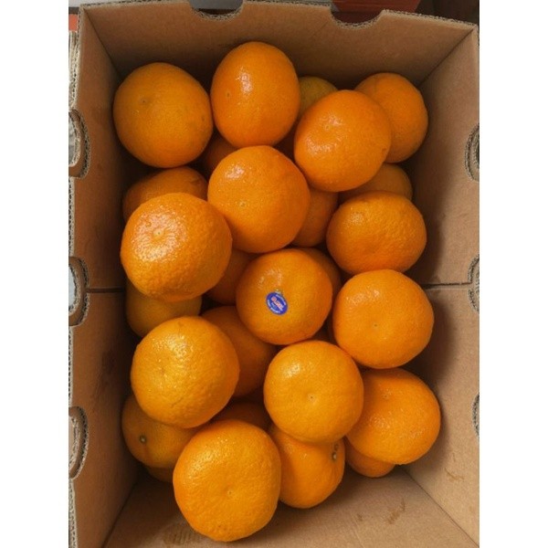 Quýt Úc Siêu Ngọt 🍊 Trái Căng Bóng – Vị Ngọt Mát Lành – Giao Nhanh Tận Nhà