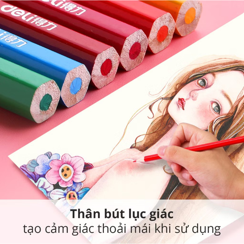 Bút Chì Màu Gốc Dầu Deli Dạng Cốc 12/24/36/48 Màu - Bút Chì Gỗ Khô Tự Nhiên An Toàn