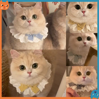 Mèo Yếm Drool Khăn Chó Dễ Thương Khăn Hình Trái Tim Nơ Dễ Thương Cổ Như Vòng Cổ Trang Trí Thú Cưng