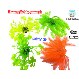 Rong Hải Quỳ Dạ Quang Trang Trí Bể Cá Cảnh, Thủy Sinh (Cao 10cm) (Mẫu Ngẫu Nhiên)