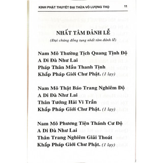 Sách - Kinh Phật Thuyết Đại Thừa Vô Lượng Thọ Trang Nghiêm Thanh Tịnh Bình Đẳng giác kinh ( Bìa cứng) Khổ 16x24cm