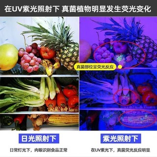 ✨Đánh giá rau quả cấp có thể sạc lại Thuốc trừ sâu trái cây Phát hiện cặn Đèn tím Phát hiện nấm Phát hiện đèn pin cực tím 25.8.3