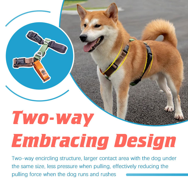 HamshMoc Heavy Duty Nylon Harness Combo Phân phối tác động Kẹp không rối Phát hành nhanh Khóa D-Ring đính kèm