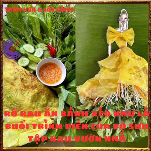 Chậu rau húng cây thơm ngon dậy vị cho món ăn rau nhà trồng mãi đỉnh⏰ TRÙM HOA VÀ CÂY CẢNH