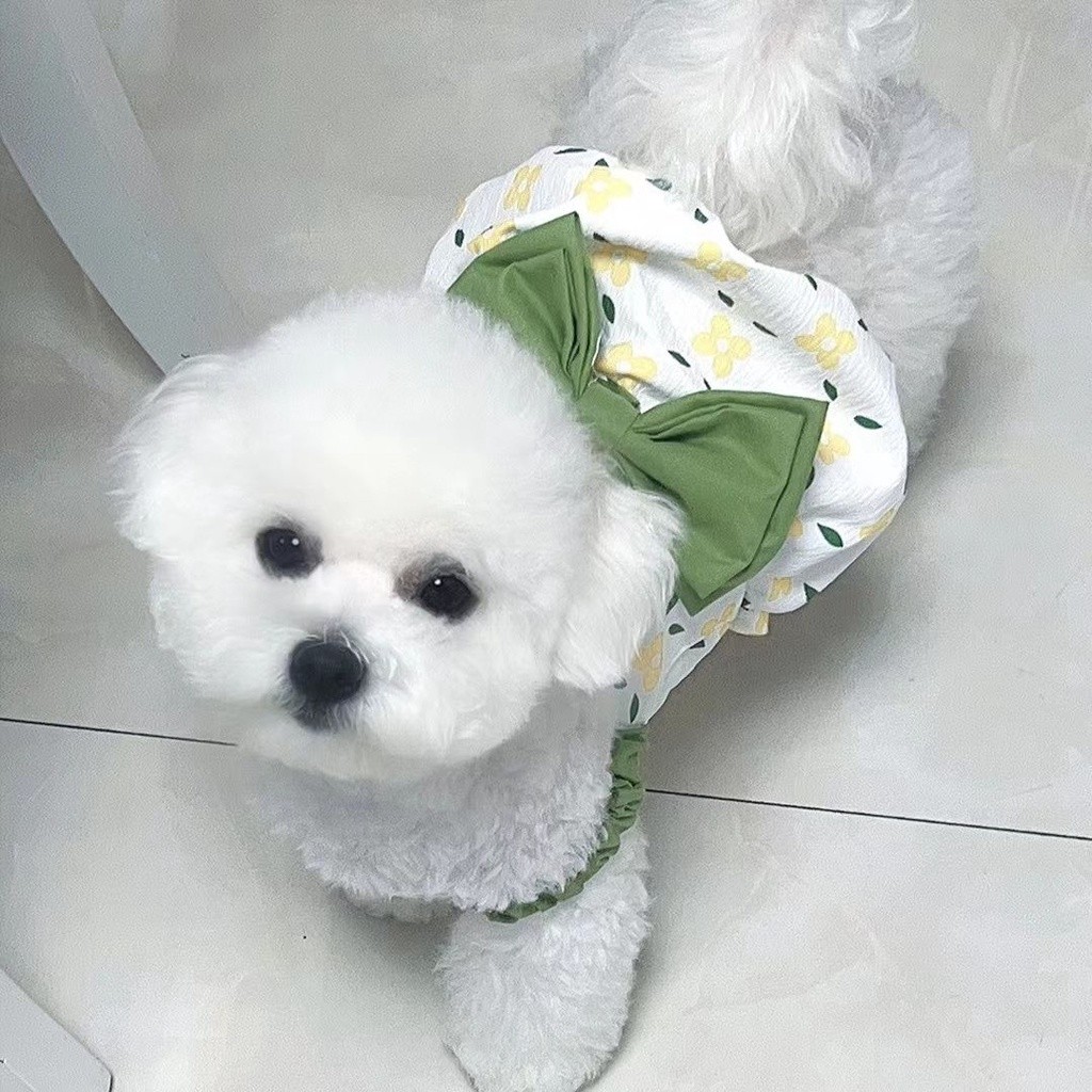 Quần áo cho chó phong cách mới, Váy hoa mèo dễ thương, Thích hợp cho Teddy / Bichon / Yorkshire và những chú chó nhỏ khác
