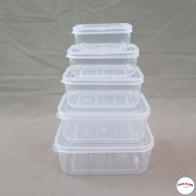 Bộ 5 hộp lạnh bầu đựng thức ăn Việt Nhật -Hộp trữ đồ đông đồ ăn dặm cho bé (MS:6685) an toàn tiện lợi - br 01285 Babee