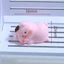 Dụng cụ nhấn xả bồn cầu tiện lợi hình heo hồng siêu cưng