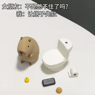 Kapibara Toilet Dolphin Đồ trang trí từ tính Đồ trang trí sáng tạo với bộ sưu tập sinh viên cá cảm ứng lương