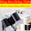 Băng Keo Chống Thấm，siêu dính，Băng keo chịu nước，Không thấm nước, chống ẩm，Đa mục đích，Vật liệu PVC，Băng dính đen