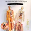 Mô Hình Lắp Ghép Giải Phẫu Cơ Thể Người Có Thể Tháo Rời Xếp hình cơ thể 3D có thể tháo rời，Giảng dạy