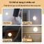 Đèn Led Cảm Biến Chuyển Động Đèn Cảm Ứng Gắn Tường Cầu Thang Tủ Quần Áo Thông Minh Sạc USB