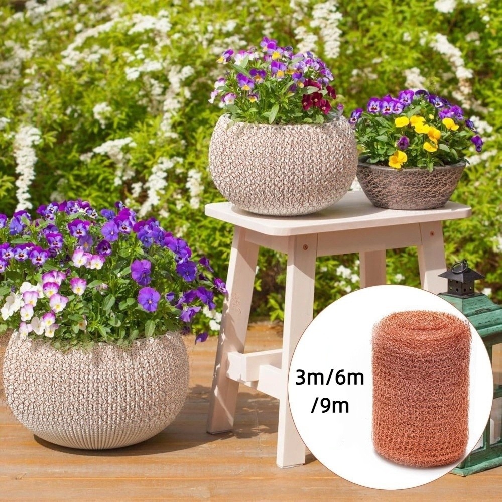 Lưới dây đồng PWSEND, Kiểm soát dịch hại trong vườn Sử dụng lưới đồng chống thấm, Trang trí bảo vệ thực vật Trang trí sân vườn