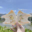 Mặt nạ Sanrio in hình dễ thương cho trẻ em 3–12 tuổi, bao bì độc lập, chất lượng cao 5D