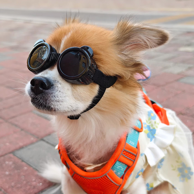 HamshMoc Dog Cat Kính râm PC Bảo vệ ống kính Đường viền linh hoạt Phù hợp với lỗ thông gió Dây đeo thoải mái Cạnh chống bụi