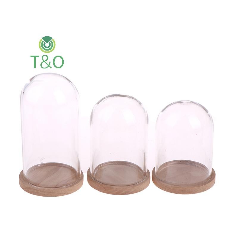 [T & O-t] 1: 12 Nhà búp bê Trang trí thu nhỏ Lọ trưng bày hoa có đế [mới]