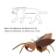 Top Thú Cưng Trang Phục Côn Trùng Ngộ nghĩnh Gián Động Vật Cosplay Đầm Phụ Kiện Thú Cưng Cosplay Tiếp Liệu Gián
