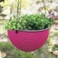 PWSSEND Giỏ dệt Plaited, Chậu hoa trồng cây trong nhà bằng nhựa tròn, Trang trí sân vườn có dây chuyền Trang trí nội thất Chậu hoa treo ban công