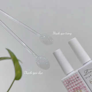 Sơn Gel Thạch Nước Gạo Linna 15ml