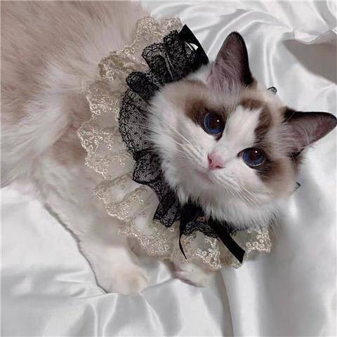 【Ready Stock】 Pet Dog Teddy Princess Lace Saliva Towel Muppet Cat Cute Scarf Bow Triangular Binder Bib Collar oOV8