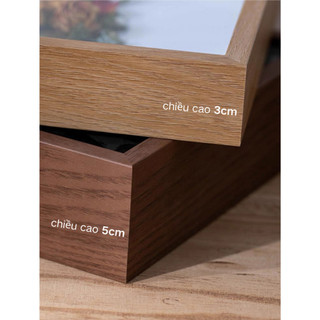 Khung Ảnh 3D Để Bàn Sâu Lòng 3/5cm, Decor Kẽm Nhung,Trưng Bày Hoa Khô ALINE