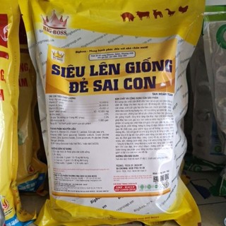 Siêu lên giống đẻ sai con gói 1kg