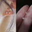 Bông Tai Nữ S925 Đá Zircon Chăm Sóc Lỗ Tai Nhỏ Gọn Thanh Lịch - Phụ Kiện Thời Thượng