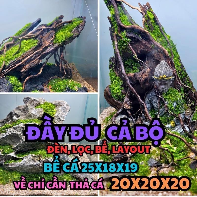 Combo đầy đủ đèn,lọc, bể, layout, Mẫu Layout đá setup sẵn cho bể cá để ...