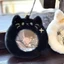 Meow Fox Huy Hiệu Sang Trọng Thanh Chirp Bảo Quản Trong Suốt, Túi Đau Nhỏ, Hiển Thị Thung Lũng, Bảo Vệ Vỏ Sinh Viên