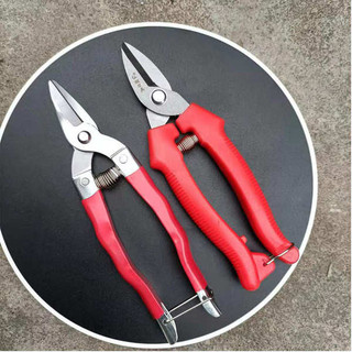 Quảng Tây Dày Bền Kéo Kéo Cắt Tỉa Wogan Trái Cây Chọn Mỏng Cắt Trái Cây Cắt Hoa Cam quýt Khuỷu Tay Kéo Cắt Trái Cây Kéo