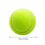 Quả bóng chơi thú cưng ROLY, Quả bóng Tennis không độc hại có độ đàn hồi, Cuộc thi bóng thực hành bền bỉ
