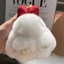 Móc khóa búp bê thỏ lông xù CHEESELY, Búp bê nhồi bông sang trọng Pompoms Bow Rabbit Mặt dây chuyền, Phim hoạt hình thời trang treo túi trang trí Phụ kiện túi mặt dây chuyền