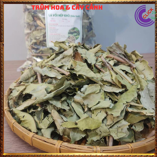 CHẬU LÁ VỐI NẾP NẤU NƯỚC TRÀ DƯỢC LIỆU NHIỀU CÔNG DỤNG TUYỆT VỜI ⏰ Hoa Mười Giờ Bonsai & Phụ Kiện