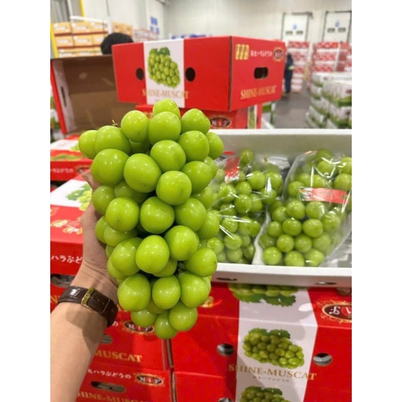 Shine Muscat ✨ Nho Mẫu Đơn Căng Bóng – Siêu Ngọt, Thơm Lừng – Giao Nhanh HCM- hộp 550-700g