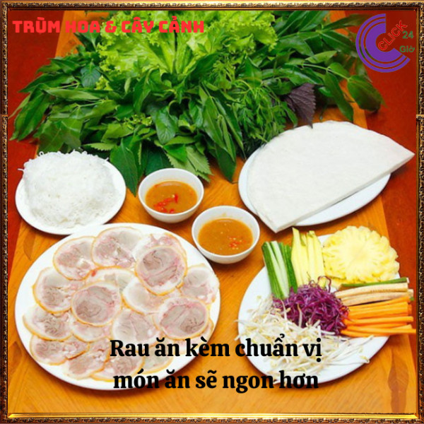 Chậu rau vọng cách ăn bánh xèo xào thịt thơm lừng rau rừng siêu ngon⏰ TRÙM HOA VÀ CÂY CẢNH