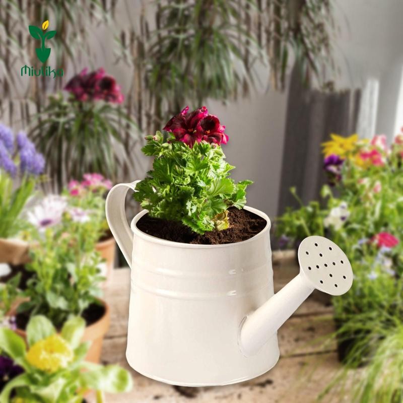 Bình tưới nước bằng kim loại Mini Miulika, Chậu trồng cây, Hộp đựng hoa mộc mạc đa năng 9.6x4.5
