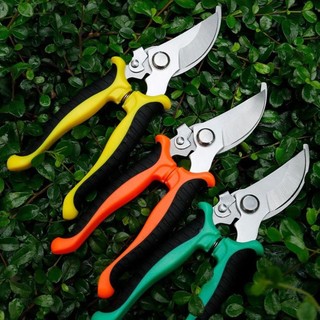 Jkdesign Kéo làm vườn, Kéo cắt tỉa cành bằng thép không gỉ hình mỏ chim, Dụng cụ làm vườn chuyên nghiệp Tiết kiệm nhân công Kéo hái trái cây