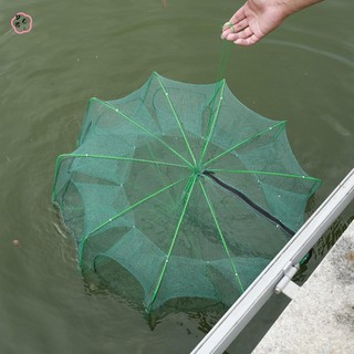 Lưới câu cá tàng hình thoát nước tốt cho loach eel và tôm hùm