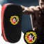 DARON Karate Punching Pad, Tấm đá chân tay bằng da PU cong, Dụng cụ đấm bốc có dây đeo cố định Dày chống mài mòn Boxing Kick Target Muay Thái