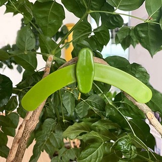 【COD】Dụng Cụ Uốn Cành Cây Bonsai Có Điều Chỉnh Góc, Dễ Dùng, Không Làm Gãy Cây, Có Thể Tái Sử Dụng