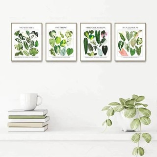 Phong cách tối giản cổ điển thực vật nhiệt đới hoa nghệ thuật treo tường vải HD áp phích in hình phù hợp cho phòng khách, trang trí phòng ngủ